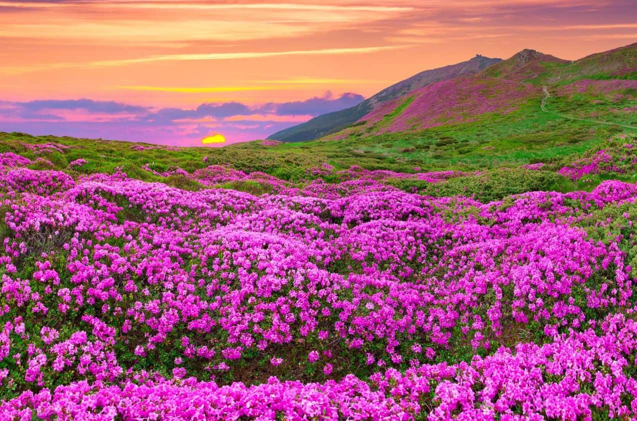Méditation Samedi 25 Avril